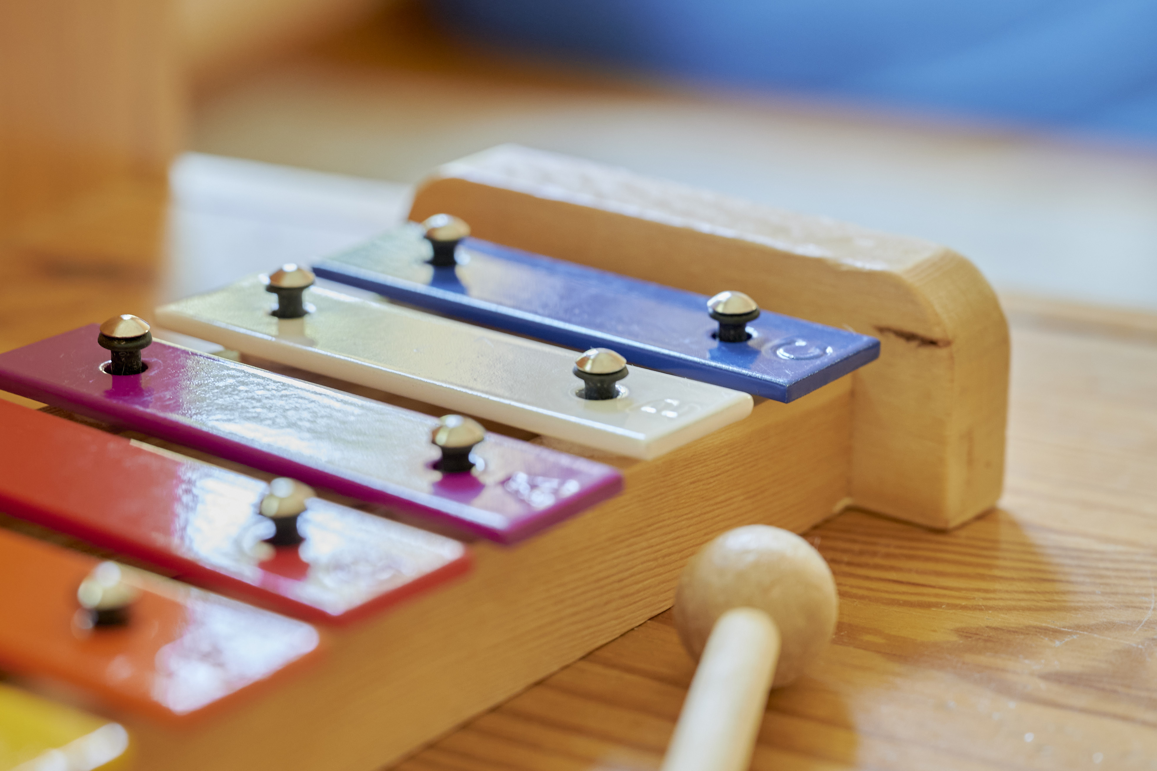 People working on laptops